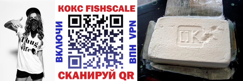 купить наркоту  Поворино  COCAIN Fish Scale 