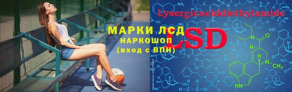 СК Михайлов