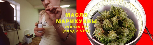 молекула духа Надым