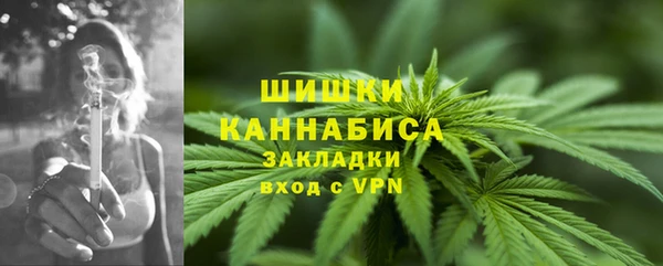гашик Медвежьегорск