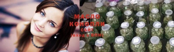 молекула духа Надым