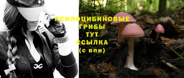 альфа пвп Яровое