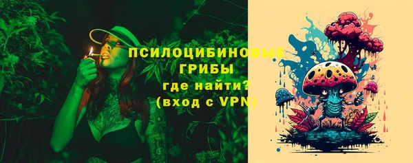 молекула духа Надым